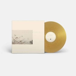 Golden Haze