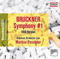Symphonie n° 1