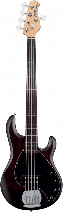 Sterling by Music Man Ray5 - Guitare basse - Stingray - Walnut Satin  