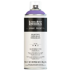 Bombe de peinture Liquitex Professionel Spray Paint 400 ml - pourpre - n°0186