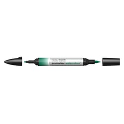 Marqueur d'aquarelle - Winsor & Newton - 312 Vert de hooker foncé