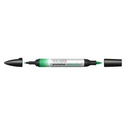 Marqueur d'aquarelle - Winsor & Newton - 521 Vert phtalo (nuance jaune)