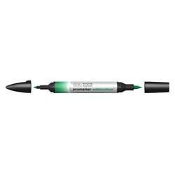 Marqueur d'aquarelle - Winsor & Newton - 311 Vert de hooker