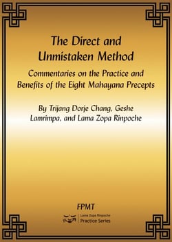 The Direct and Unmistaken Method: Commentaries on the Practice and Benefits of the Eight Mahayana Precepts eBook