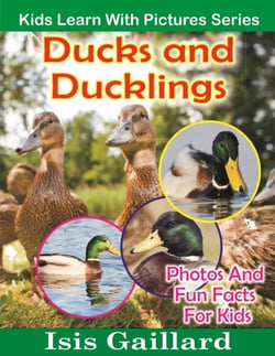 Ducks and Ducklings Photos and Fun Facts for Kids - Kids Learn With Pictures, #15