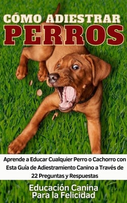 Cómo Adiestrar Perros Aprende a Educar Cualquier Perro o Cachorro con Esta Guía de Adiestramiento Canino a Través de 22 Preguntas y Respuestas