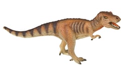 TYRANNOSAURUS MUSEUM LINE TYRANNOSAURUS MUSEUM LINE