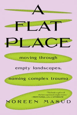 A Flat Place - Moving Through Empty Landscapes, Naming Complex Trauma