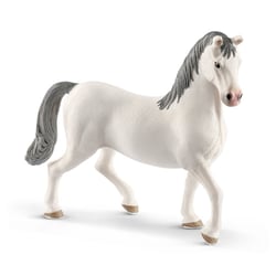 Figurine  Etalon Lipizzan - Schleich