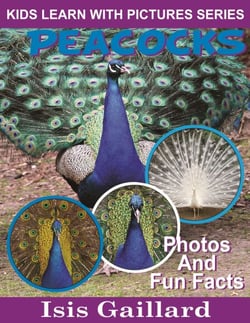 Peacocks Photos and Fun Facts for Kids - Kids Learn With Pictures, #19