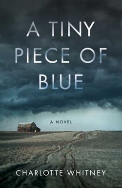 A Tiny Piece of Blue - A Novel
