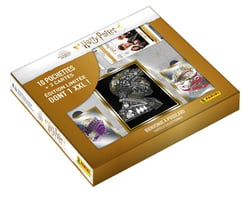 Coffret Cadeau Harry Potter  : 10 pochettes + 3 cartes rares - Panini