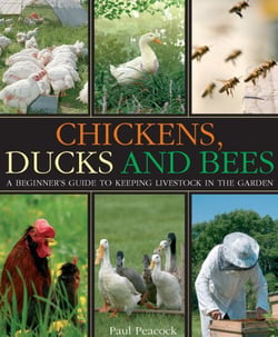 Chickens, Ducks and Bees - A beginner's guide to keeping livestock in the garden