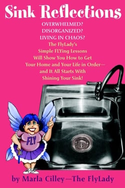 Sink Reflections - The FlyLady's Simple Flying Lessons Will Show You How to Get Your Home and Your  Life in Order