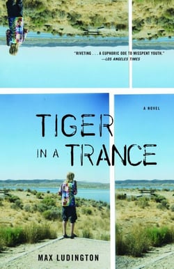 Tiger in a Trance - A Novel