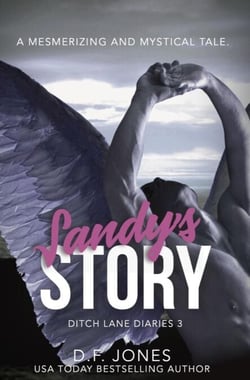 Sandy's Story (Ditch Lane Diaries Book 3) - Ditch Lane Diaries