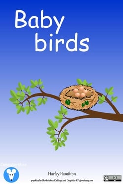 Baby Birds