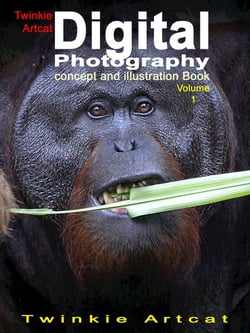 Twinkie Artcat Digital Photography Concept And Illustration Book, Volume 1 - Twinkie PhotoBook, #1