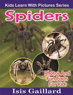 Spiders Photos and Fun Facts for Kids - Kids Learn With Pictures, #21