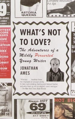 What's Not to Love? - The Adventures of a Mildly Perverted Young Writer