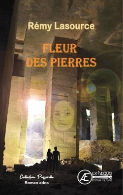Fleur des pierres - Passerelle