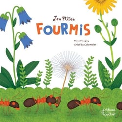 Les P'tites Fourmis - La vie dans la fourmilière