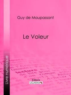 Le Voleur