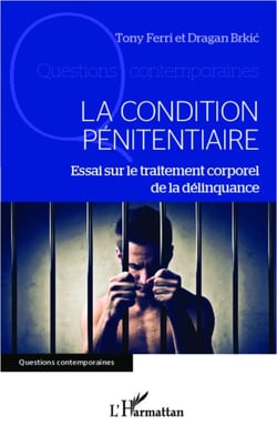 La condition pénitentiaire - Essai sur le traitement corporel de la délinquance