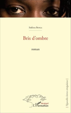 Bris d'ombre - Roman