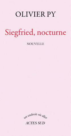 Siegfried, nocturne