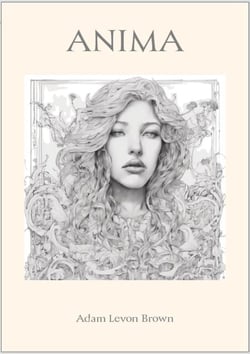 Anima - Verses Of The Broken, #1