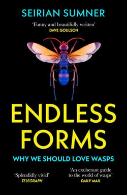 Endless Forms - Why We Should Love Wasps