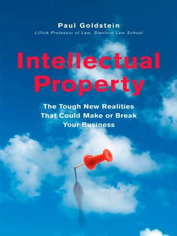 Intellectual Property - The Tough New Realities That Could Make or Break Your Business