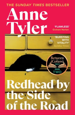 Redhead by the Side of the Road - A Booker-nominated novel about loneliness and finding love late in life