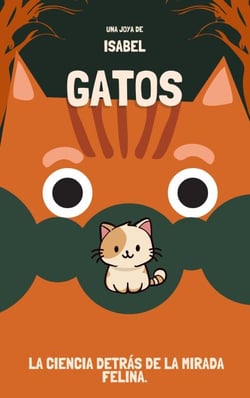 Gatos: La ciencia detrás de la mirada felina