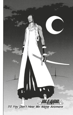 Bleach - T24 - Chapitre 212 - You Don't Hear My Name Anymore