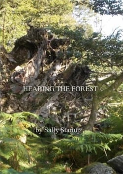 Hearing the Forest - Tree Speaker, #3