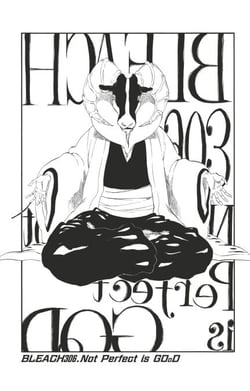 Bleach - T35 - Chapitre 306 - Not Perfect is GOoD
