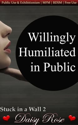 Willingly Humiliated in Public - Stuck in a Wall