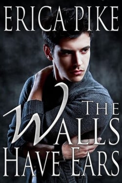 The Walls Have Ears - College Fun and Gays, #3