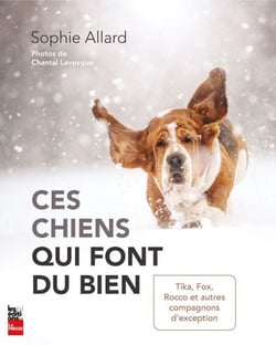 Ces chiens qui font du bien - Tika, Fox, Rocco et autres compagnons d'exception