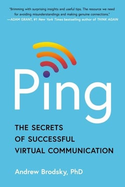Ping - The Secrets of Successful Virtual Communication