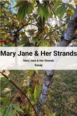 Mary Jane &amp; Her Strands