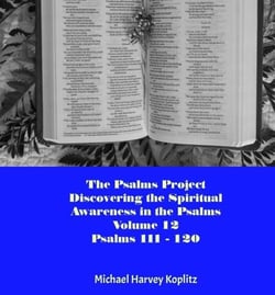 The Psalms Project Volume Twelve - Discovering the Spiritual World through the Psalms – Psalm 111 - 120 - Psalms Project, #12