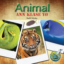 Animal Ann Klase Yo / Let's Classify Animals - Kelli Hicks