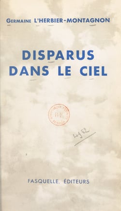 Disparus dans le ciel - Souvenirs de la mission de recherches des morts et disparus de l'Armée de l'Air