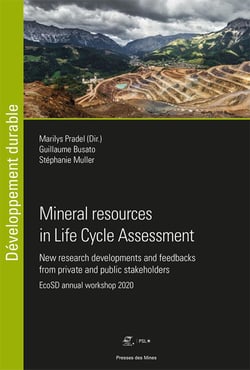Mineral resources in Life Cycle Assessment - New research developments and feedbacks from private and public stakeholders - EcoSD annual workshop 2020