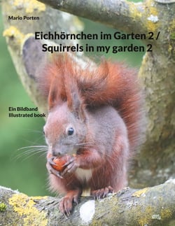 Eichhörnchen im Garten 2 / Squirrels in my garden 2 - Ein Bildband / Illustrated book