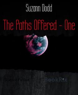 The Paths Offered - One