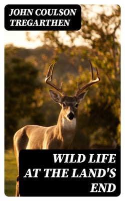 Wild Life at the Land's End